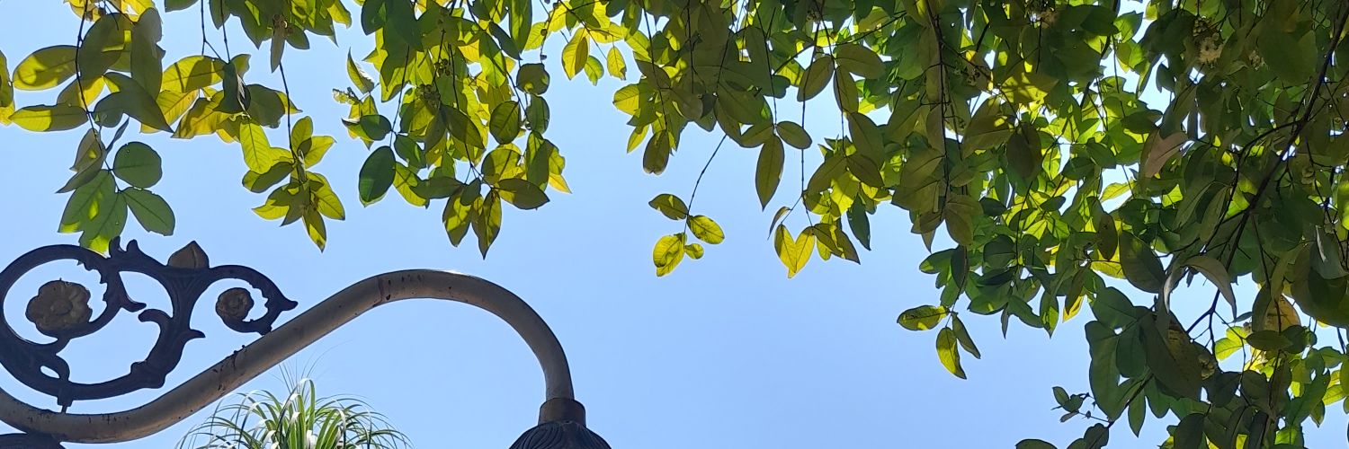 ctms_18's profile banner image