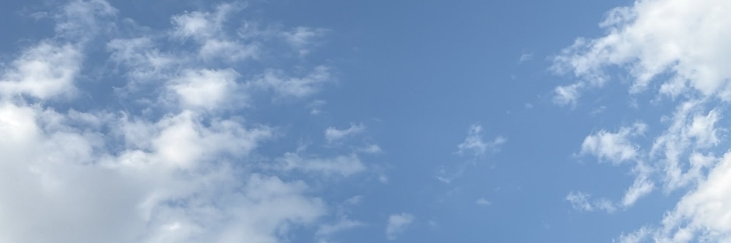 Ale_Sims1's profile banner image