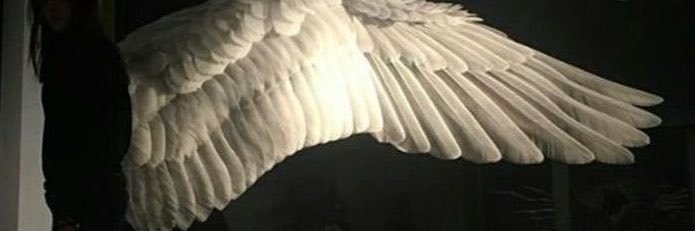 FallenSta1r's profile banner image