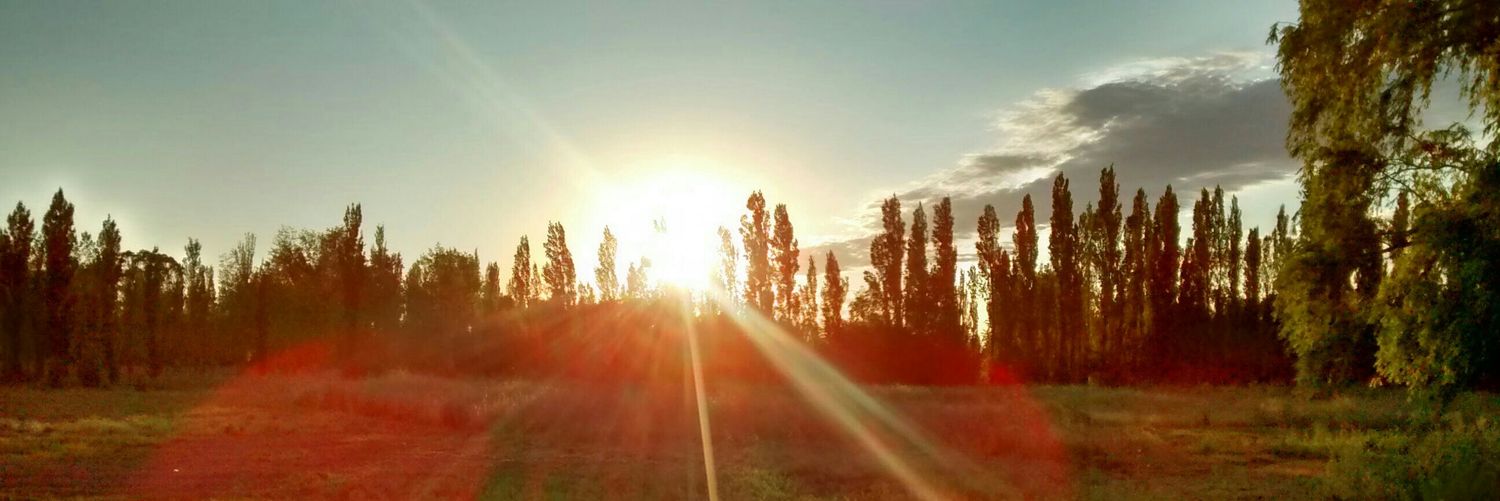 20721285's profile banner image
