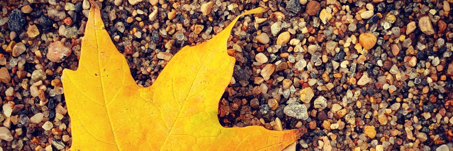 fmveg's profile banner image