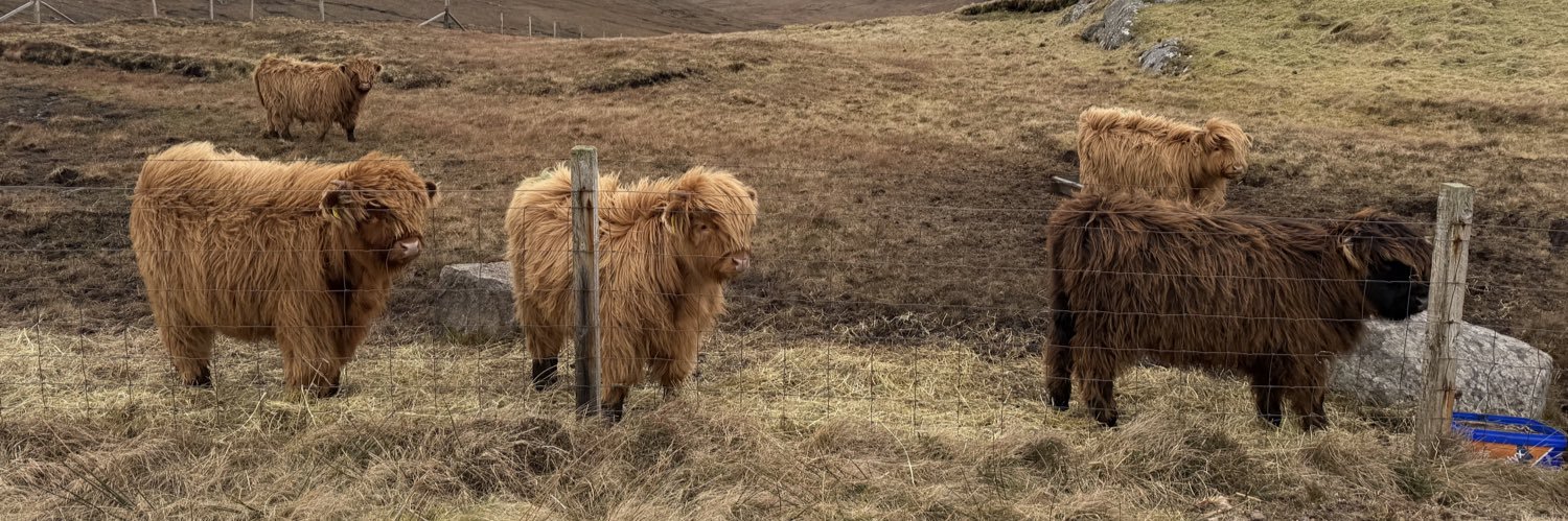 Robert Thorburn banner