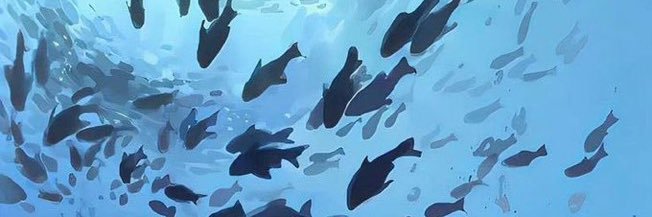 ≛ ‍ ‍ ⸃⸃ quinn ‍ 𓆉 ⋆ banner