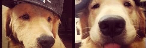 Hollyn😜😜 banner