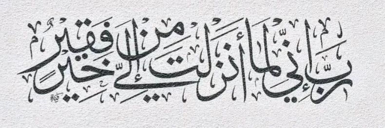 AlialaaKhalifa's profile banner image