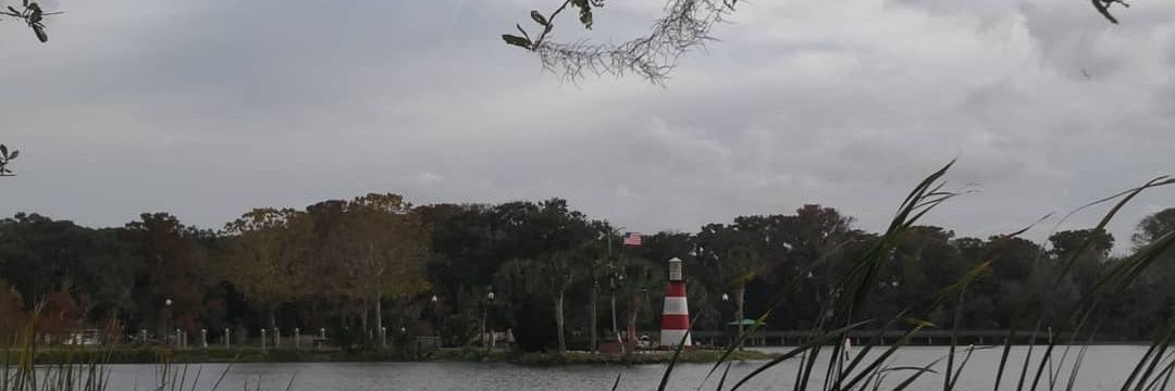 marthychavez's profile banner image