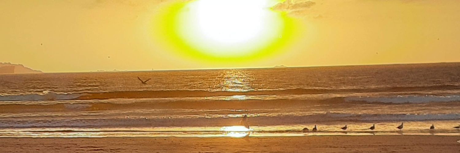 erazoconcha's profile banner image