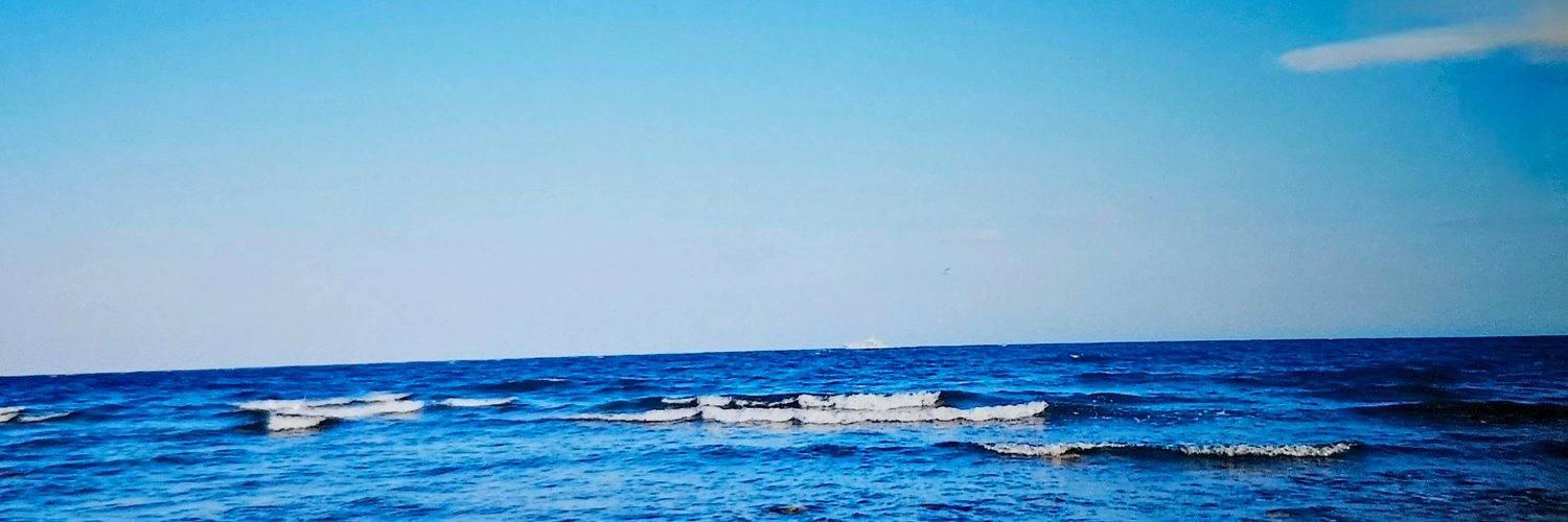 Nachtigall♡ banner