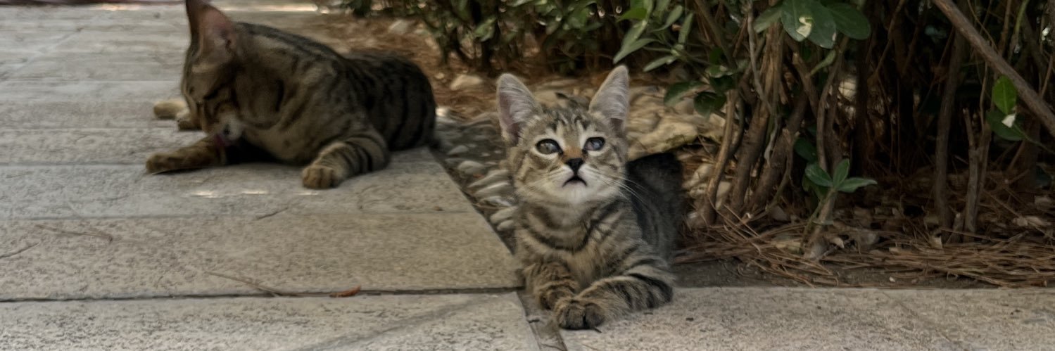 گوربای مودی banner