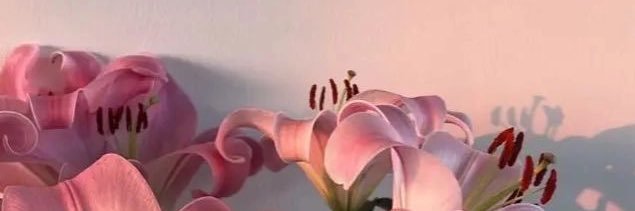 __EstherC's profile banner image