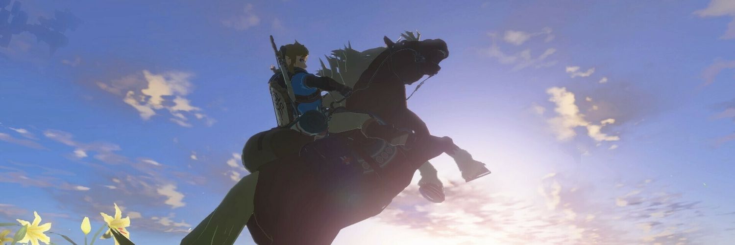 Hyrule_Savior's profile banner image
