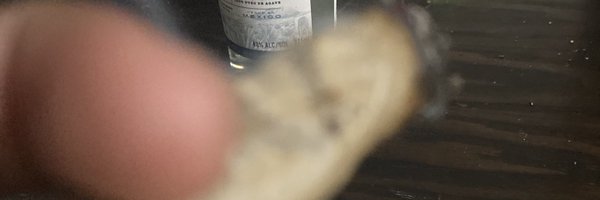 daniya63134 Profile Banner