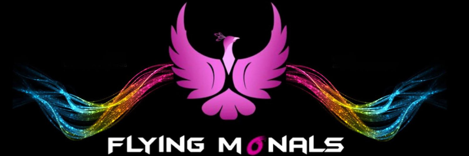 Flyingmonals's profile banner image