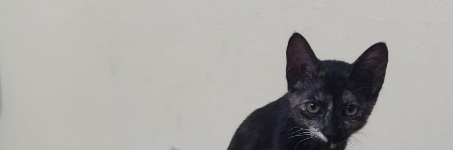 anjalization's profile banner image