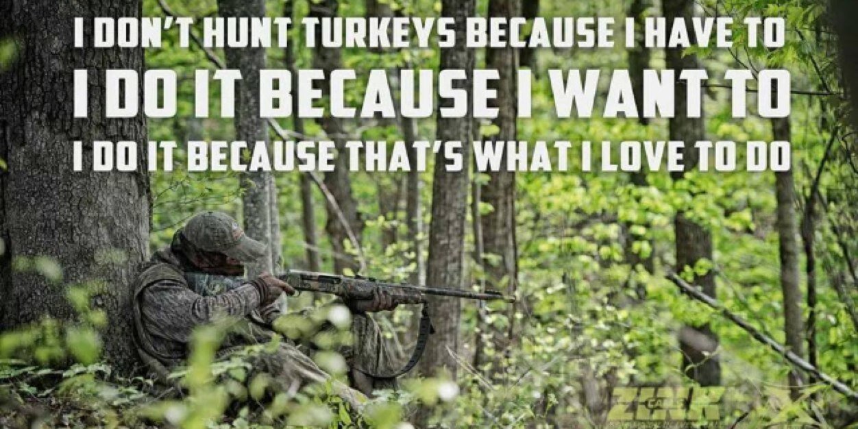 Turkeyfreak10's profile banner image