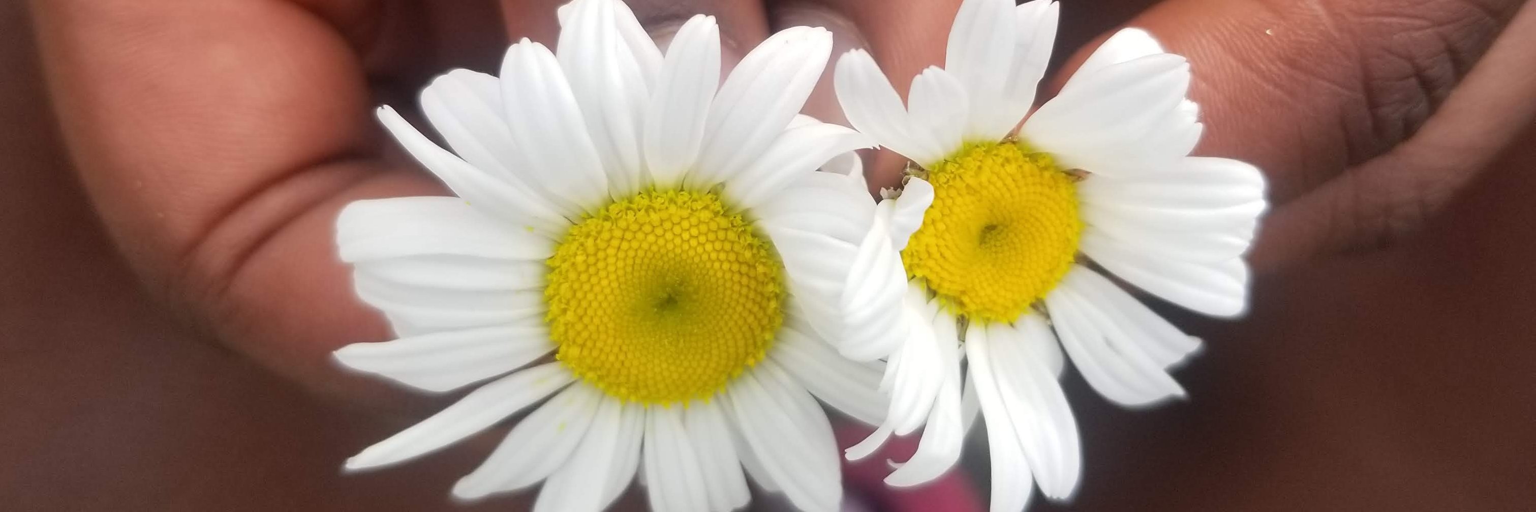OhemaaAngie's profile banner image