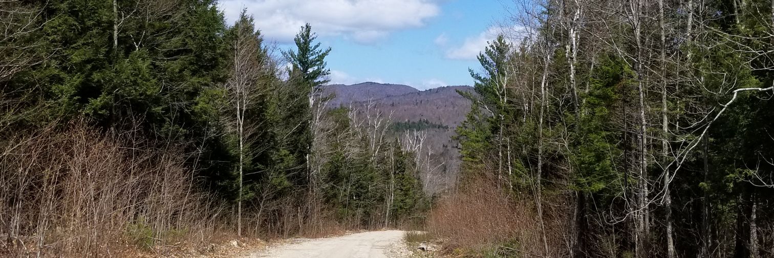 dustinxdaniel's profile banner image