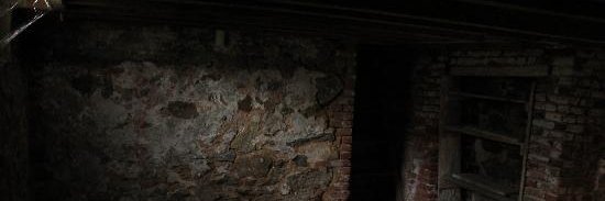 Stinky Loser Sophie🔞 banner