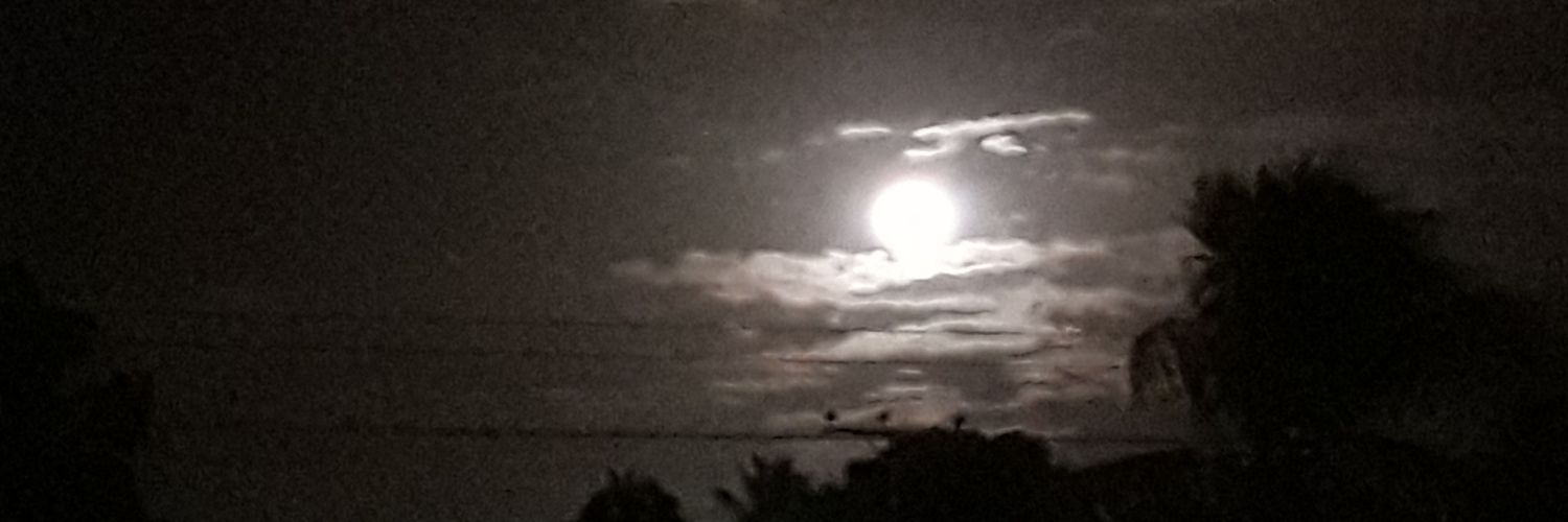 chichoaro's profile banner image