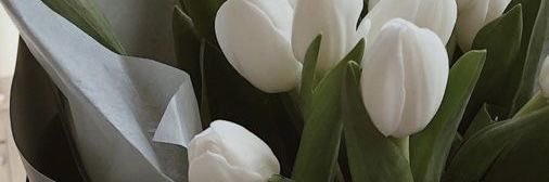 ^._.^ banner