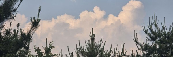 D_Dcmss Profile Banner