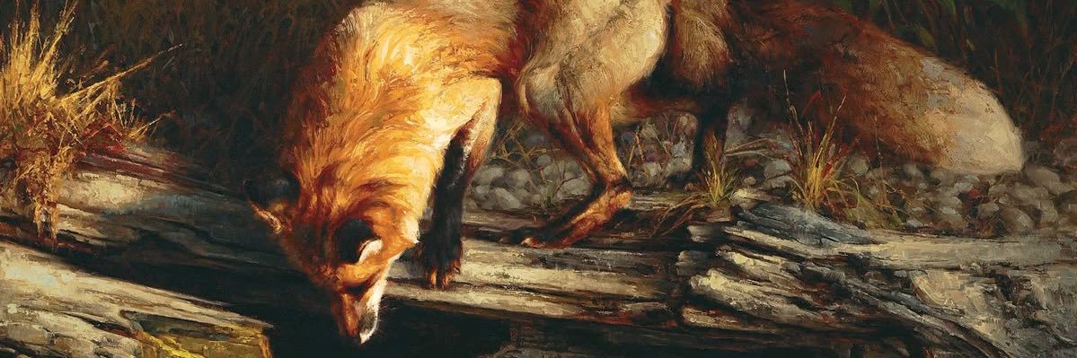 🦊 banner