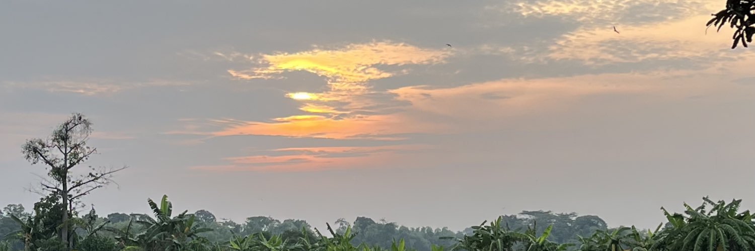 Bungaaa_d's profile banner image