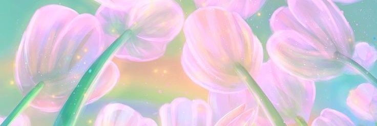 Zylith banner