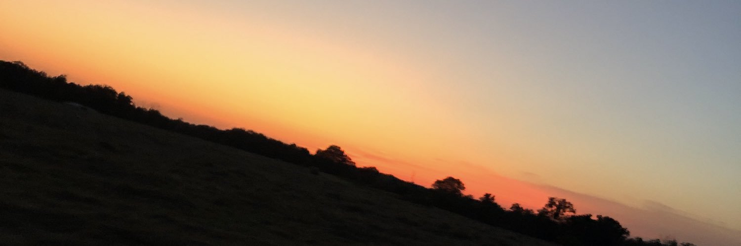 TaylorH32's profile banner image