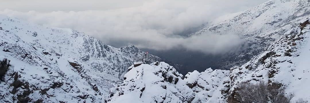 Alig4nl's profile banner image
