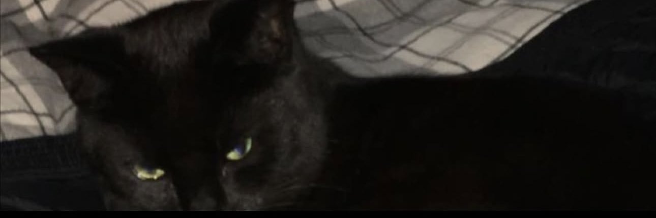 jjjjjjjjjjjjjjjjjjjj banner