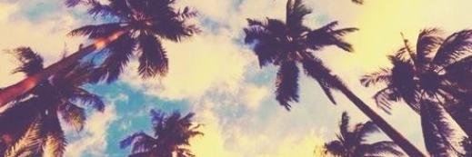 KamiiiDuarte's profile banner image