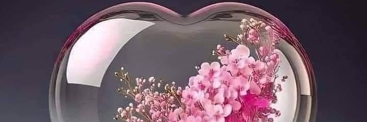 t4f881's profile banner image