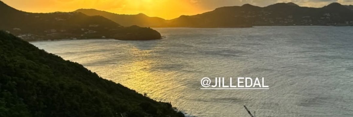 jilledal's profile banner image