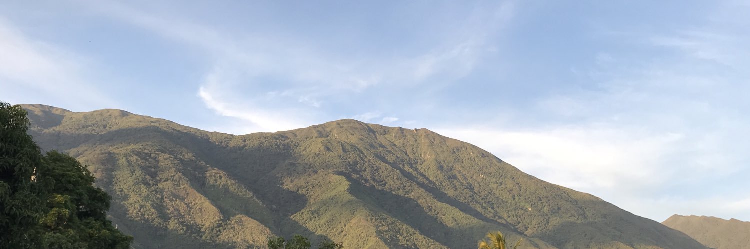 lauradrewbear's profile banner image