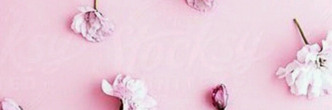 Rissaichot's profile banner image
