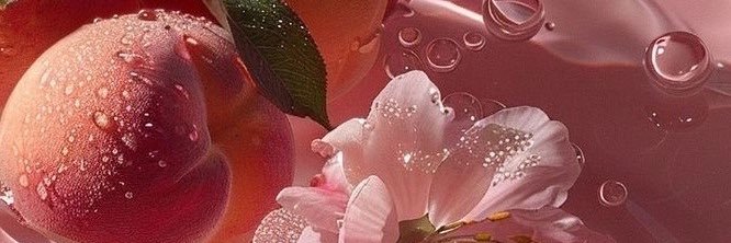 _kitty_kat_00's profile banner image