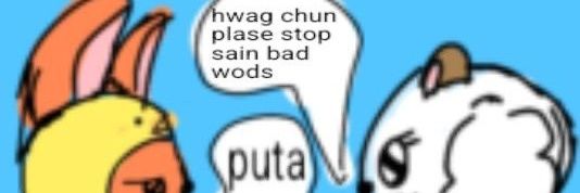 flori banner