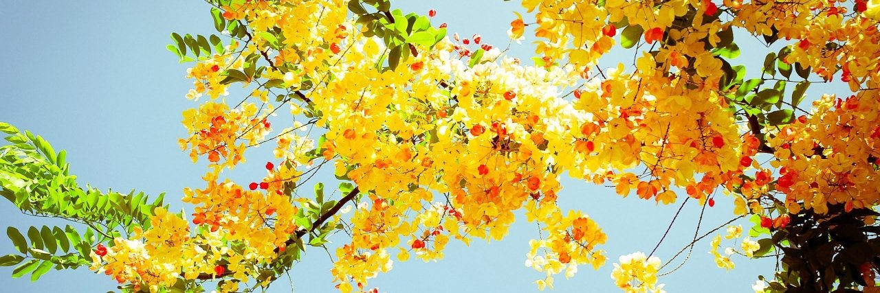 s_tastopia's profile banner image