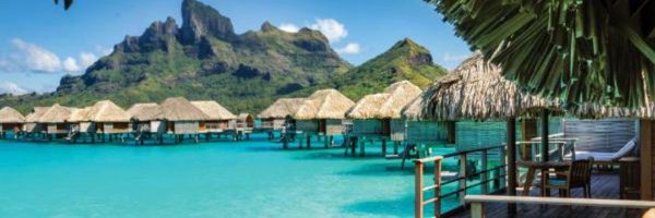 SierrapScott Profile Banner