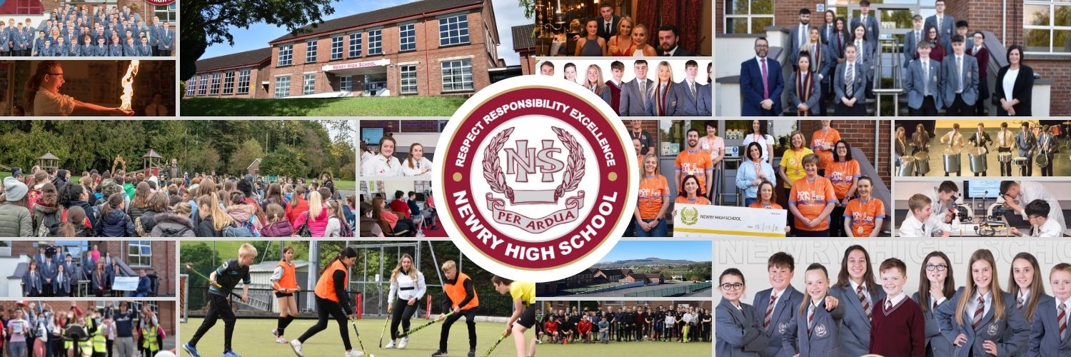 Newry High School banner