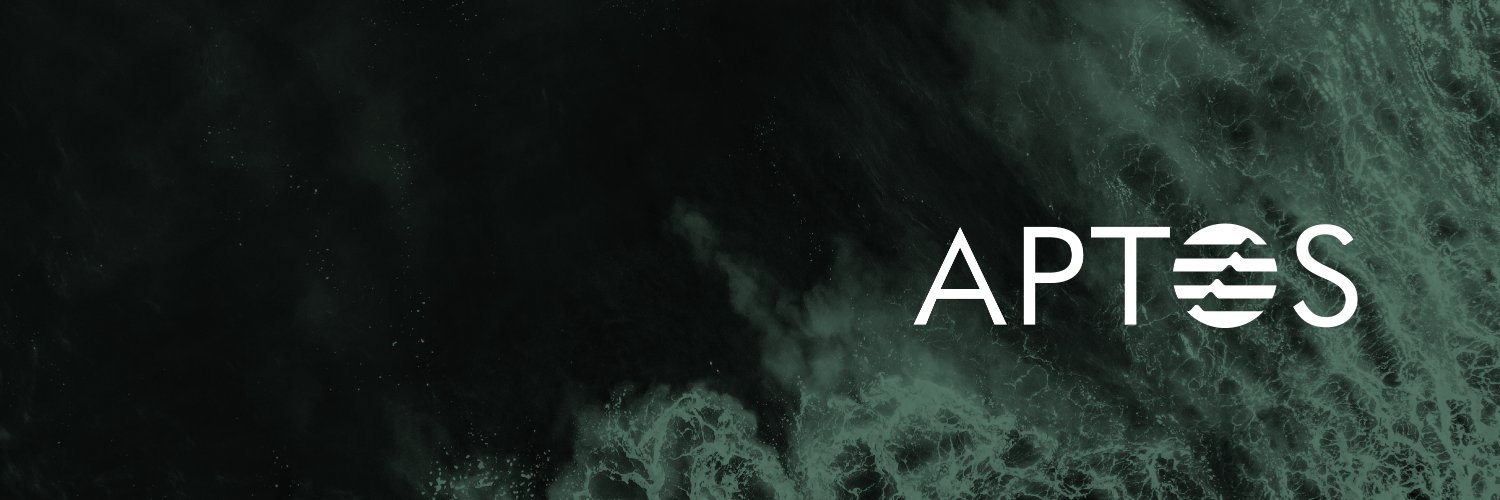 0xLae's profile banner image