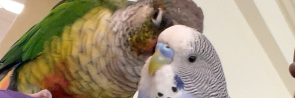 weenchall's profile banner image