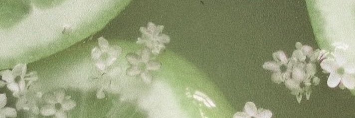 StarBornBeauty's profile banner image