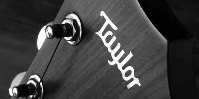 3TaylorBrothers's profile banner image