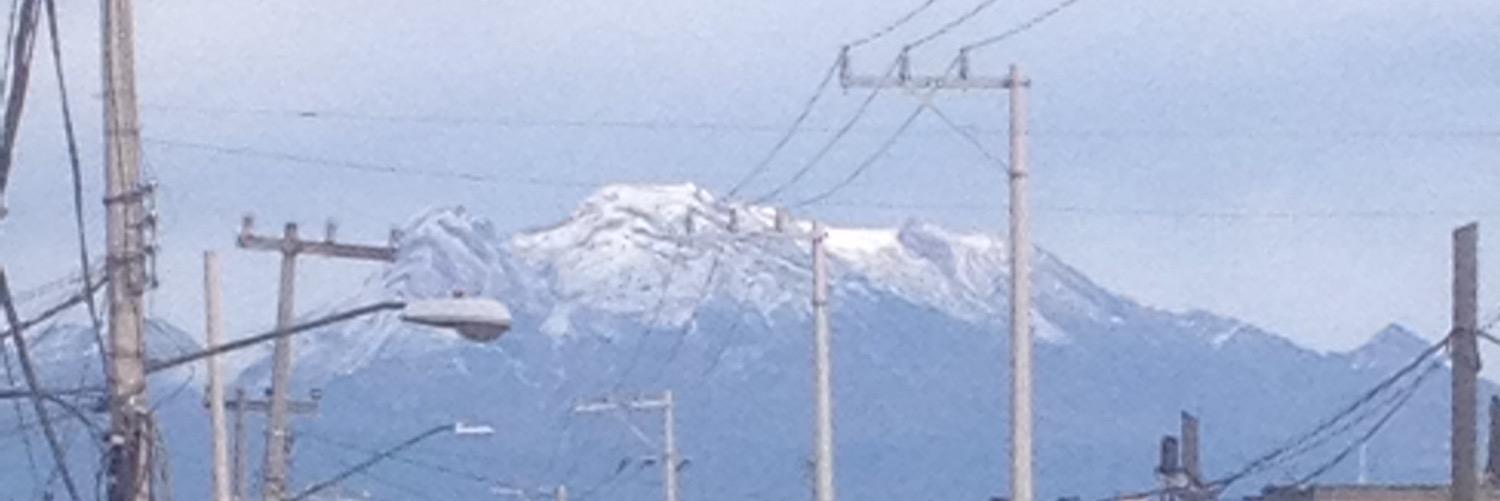 tigrillo_74's profile banner image
