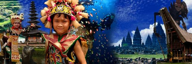indigenousp's profile banner image