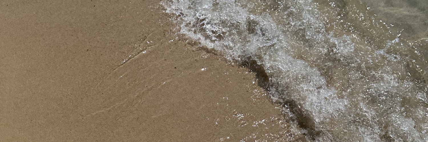 jadeschnr's profile banner image