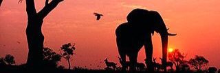 Mitchie_Gernert's profile banner image