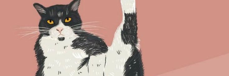Delfimuzza's profile banner image